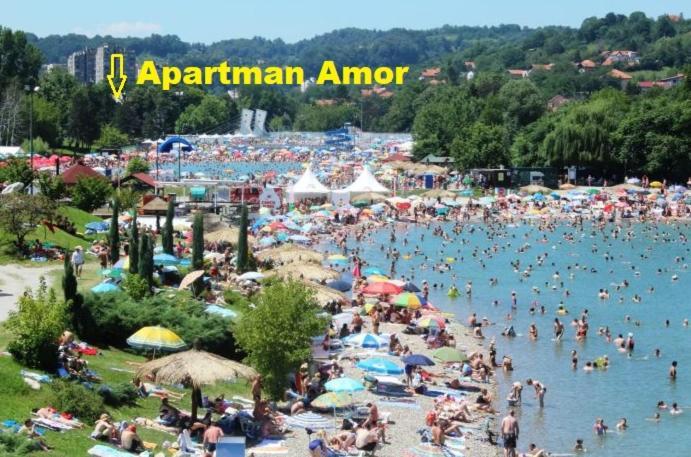 Apartman Amor Tuzla